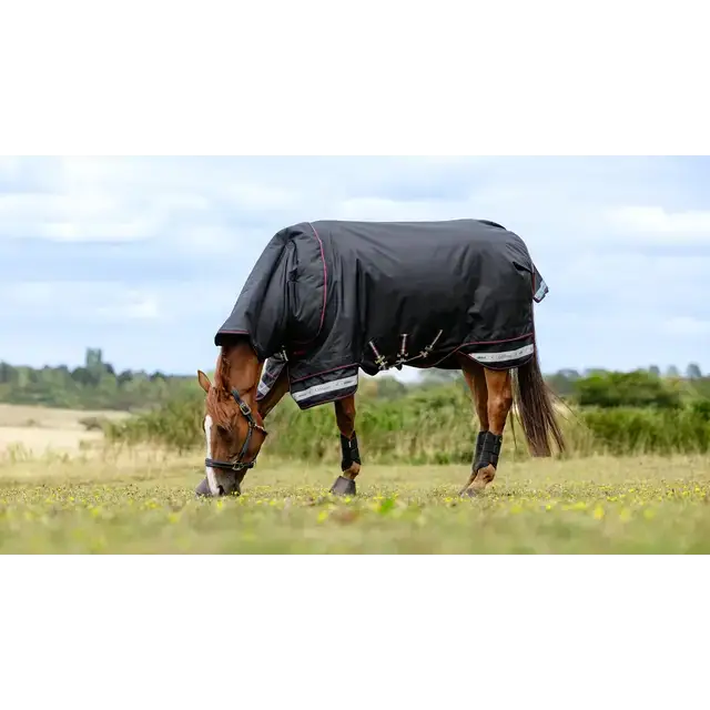 Lemieux Arika Storm-Tek Rug 200g Black Black 5'6" Horse