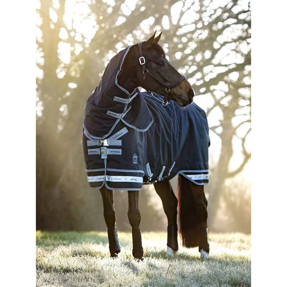 Lemieux Arika Storm-Tek Rug 350g Navy - Turnout Rugs