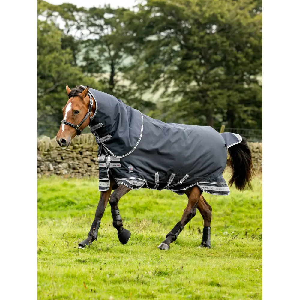 Lemieux Arika Storm-Tek Rug 350g Navy - Turnout Rugs