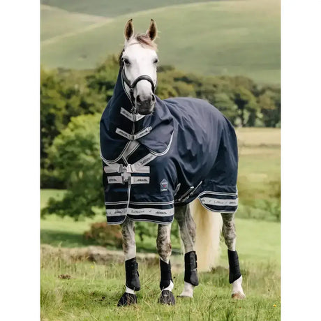 Navy blue lemieux arika storm-tek rug with white trim and silver reflective stripes beta innovation gold design