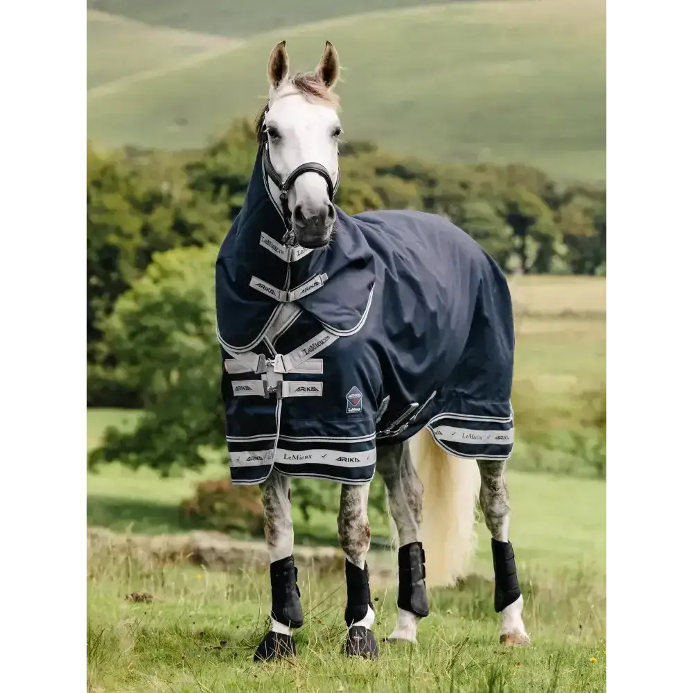 Lemieux Arika Storm-Tek Rug 50g Navy 4'9 Turnout Rugs