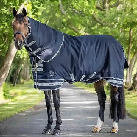LeMieux Arika Storm-Tek Turnout Rug 100g Detachable Neck 5'6" Turnout Rugs