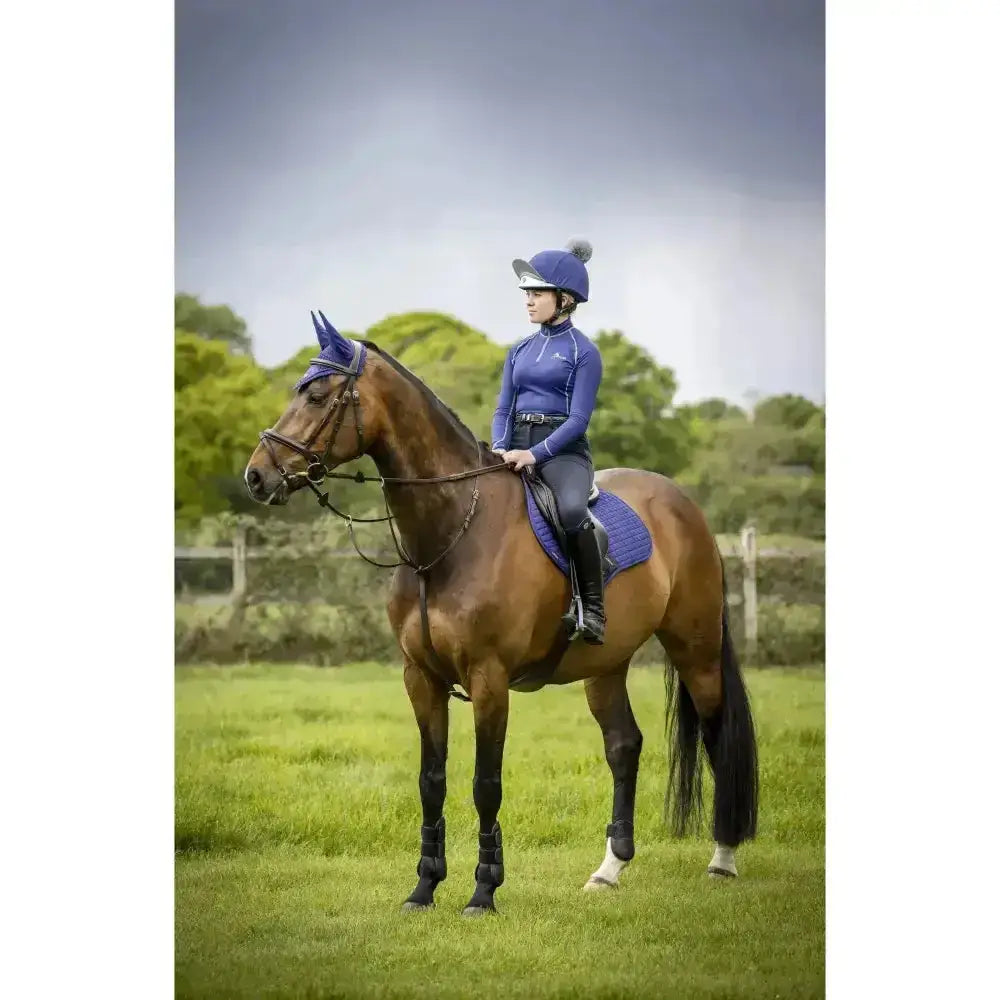A brown horse wearing lemieux base layer ink blue purple saddle pad and black protective leg wraps