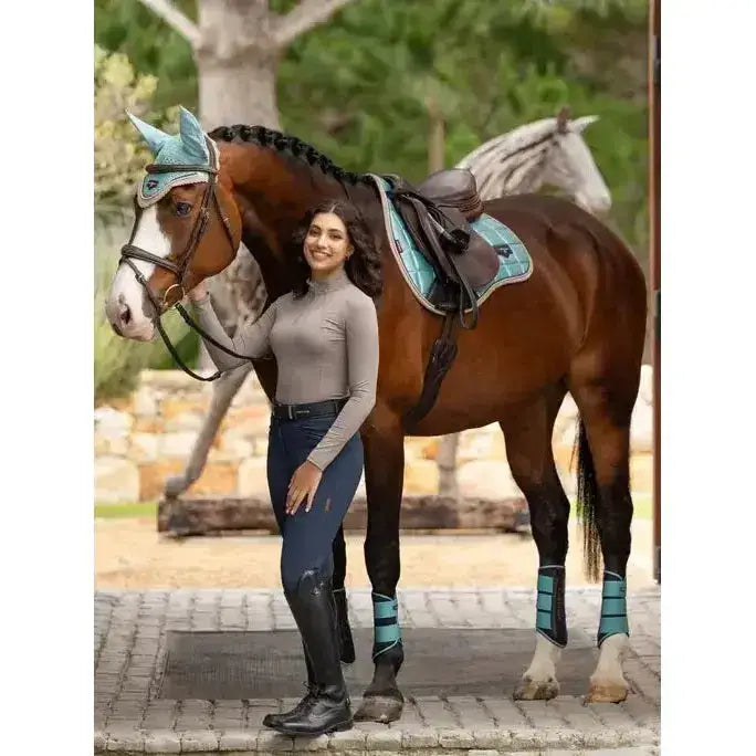 Brown horse wearing lemieux base layer pecan with teal and black bridle saddle pad and leg wraps