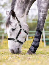 LeMieux Break Away Headcollar Pony Black Field Safe Headcollars