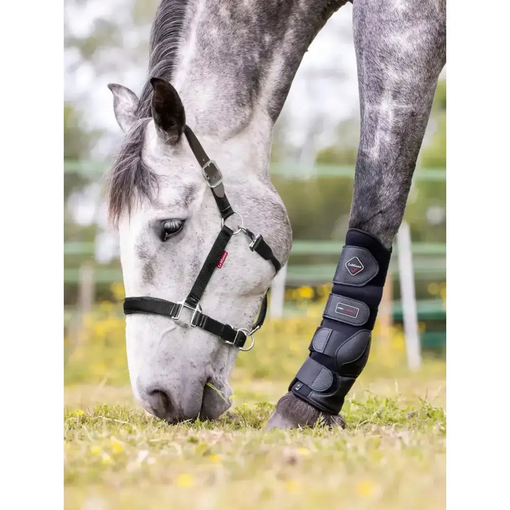 Black horse hoof protector with adjustable straps and diamond shaped logo designed for heavy load avoiding and easy headcollar use