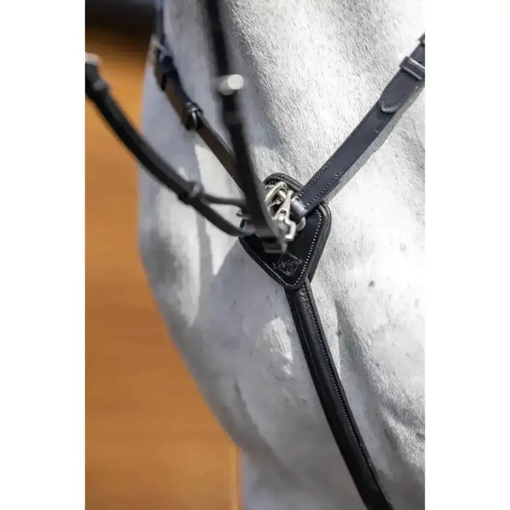 Black leather lemieux breastplate d ring attachment with silver buckle stitching and martingale attachment detail