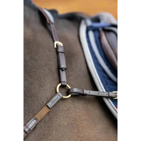 Dark brown leather lemieux breastplate d ring attachment with brass hardware and martingale attachment feature