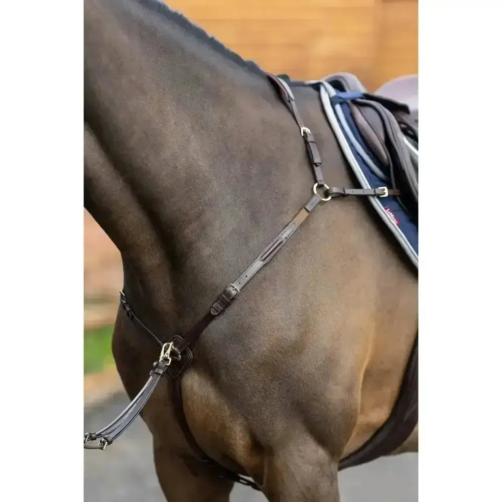 Dark brown leather lemieux breastplate d ring attachment with silver hardware and elasticated neck straps for martingale attachment