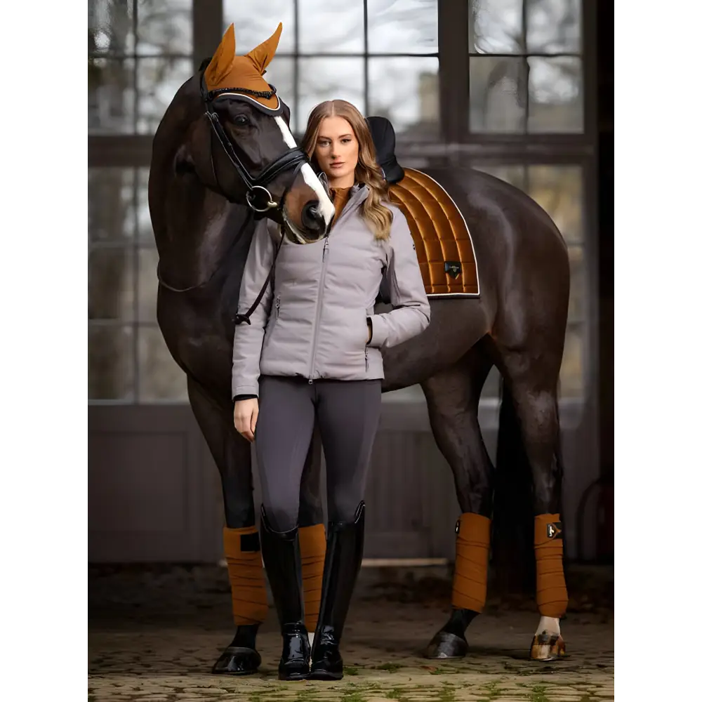 Dark brown horse in orange wraps and mask near Lemieux Brooke Waterproof Hybrid Jacket Ash