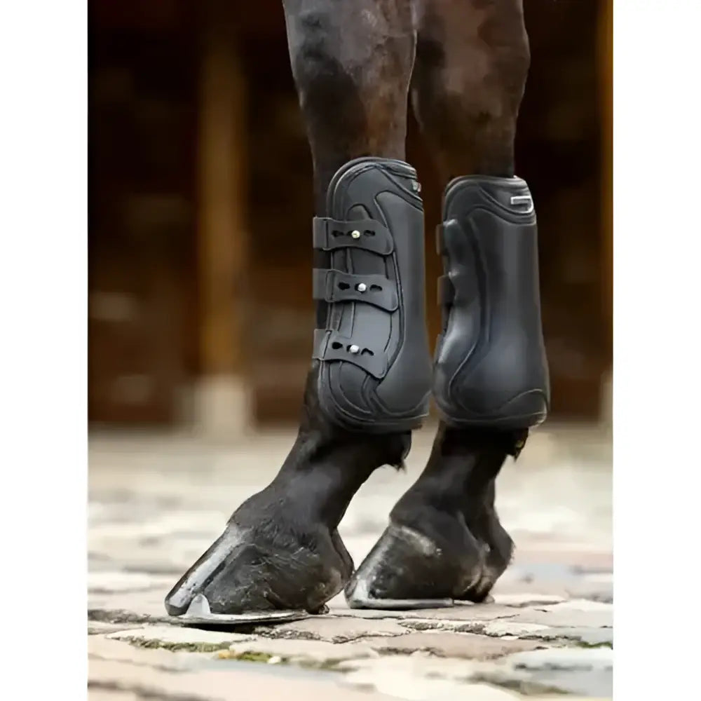 Lemieux capella strap tendon boots black with adjustable straps and durable protective design for horses