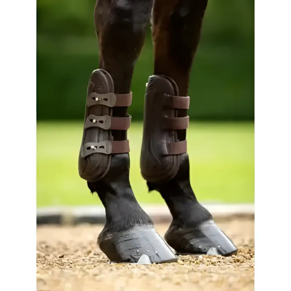 Brown leather lemieux capella strap tendon boots with three adjustable straps and metal buckles
