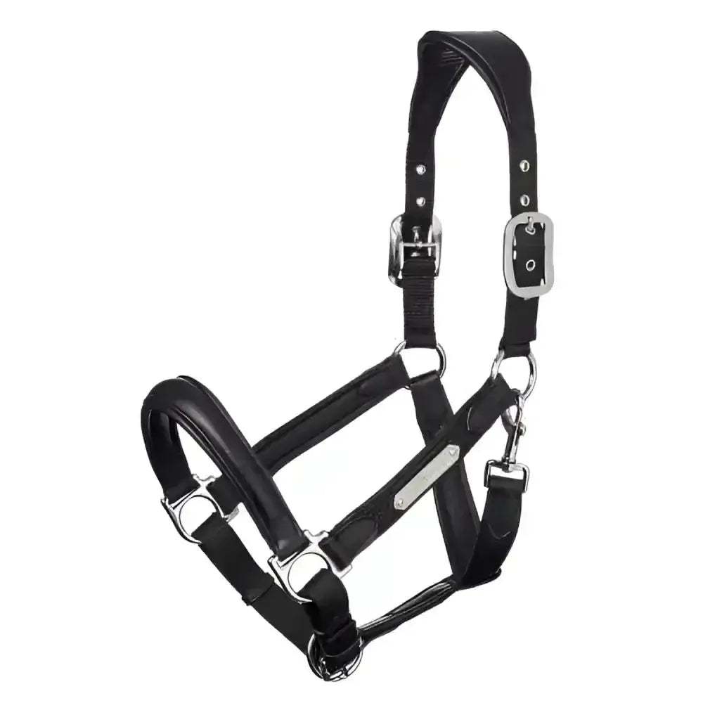 Black leather lemieux capella headcollar with silver solid metal fittings luxury leather headcollar for horses