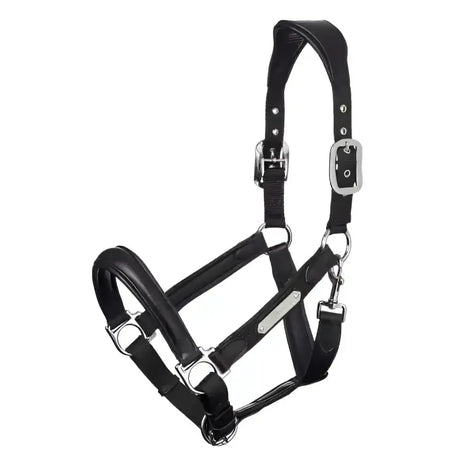 Black leather lemieux capella headcollar with silver solid metal fittings luxury leather headcollar for horses