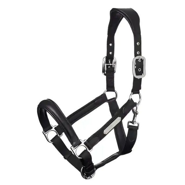 Black leather lemieux capella headcollar with silver solid metal fittings luxury leather headcollar for horses