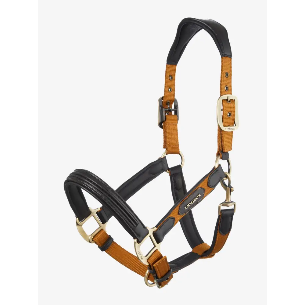 Lemieux Capella Headcollar Ginger - Pony / Ginger - Headcollars