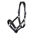 Black leather lemieux capella headcollar with silver solid metal fittings luxury leather headcollar detail