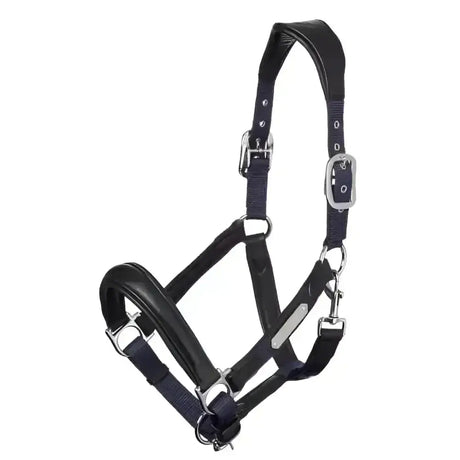 Black leather lemieux capella headcollar with silver solid metal fittings luxury leather headcollar detail
