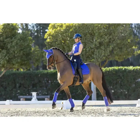 A brown horse wearing lemieux carbon mesh dressage square and blue protective gear with a rider in matching blue attire