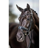 LeMieux Classic Browband Black Leather Twilight Cob Browbands