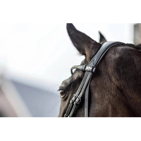LeMieux Classic Browband Black Leather Twilight Cob LeMieux Browbands Barnstaple Equestrian Supplies