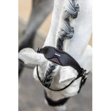 Black leather horse halter with sleek contoured design and subtle stitching from lemieux classic browband collection