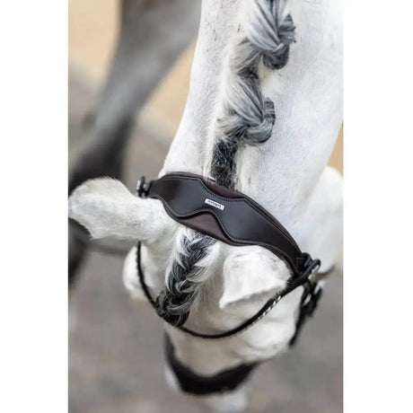 Black leather horse halter with sleek contoured design and subtle stitching from lemieux classic browband collection