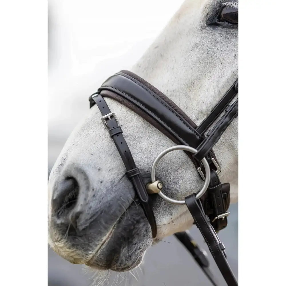 LeMieux Classic Dressage Bridle Black Cob Bridles Barnstaple Equestrian Supplies