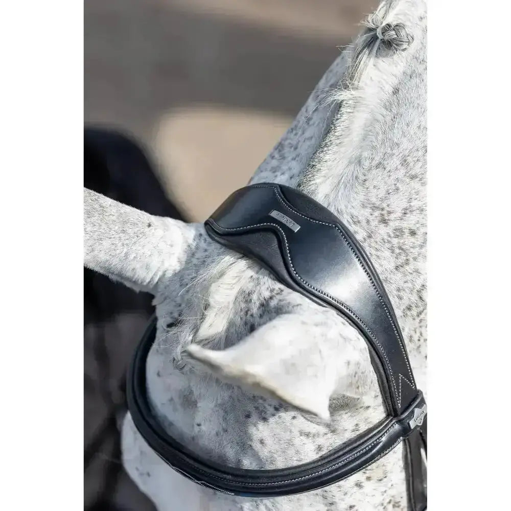 Black leather lemieux classic dressage bridle with silver stitching small brand tag and padded crank noseband