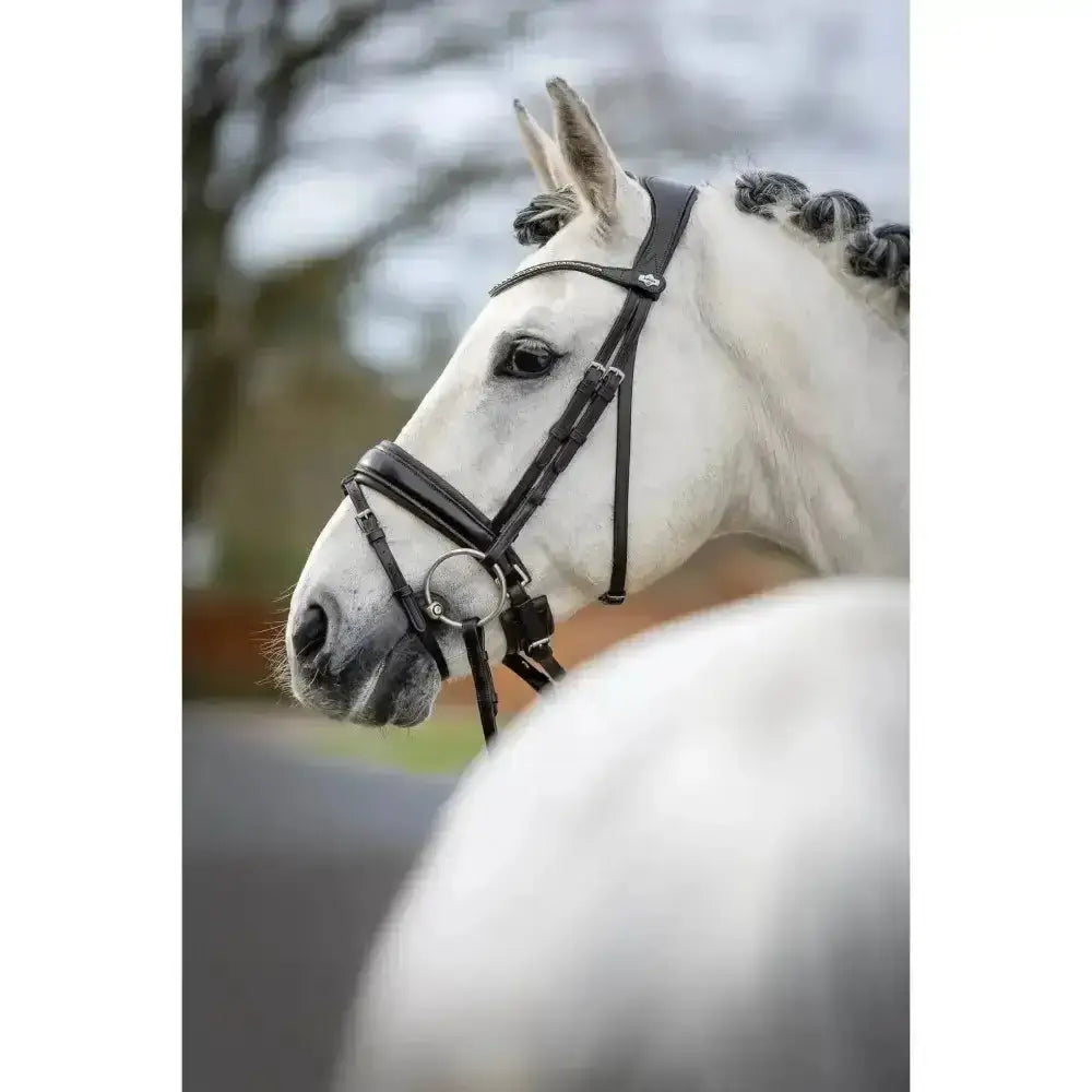 Black leather lemieux classic dressage bridle with silver hardware and statement padded crank noseband