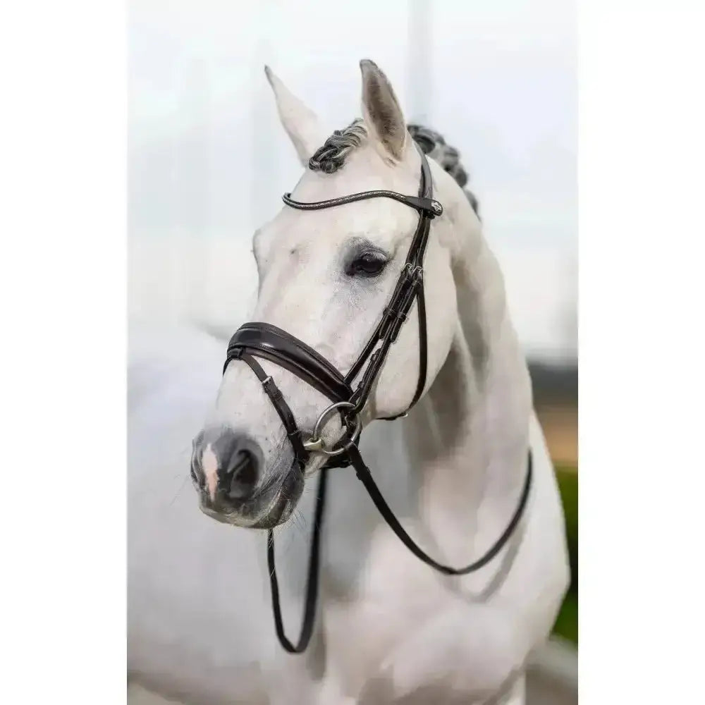 Black leather lemieux classic dressage bridle with silver hardware and statement padded crank noseband