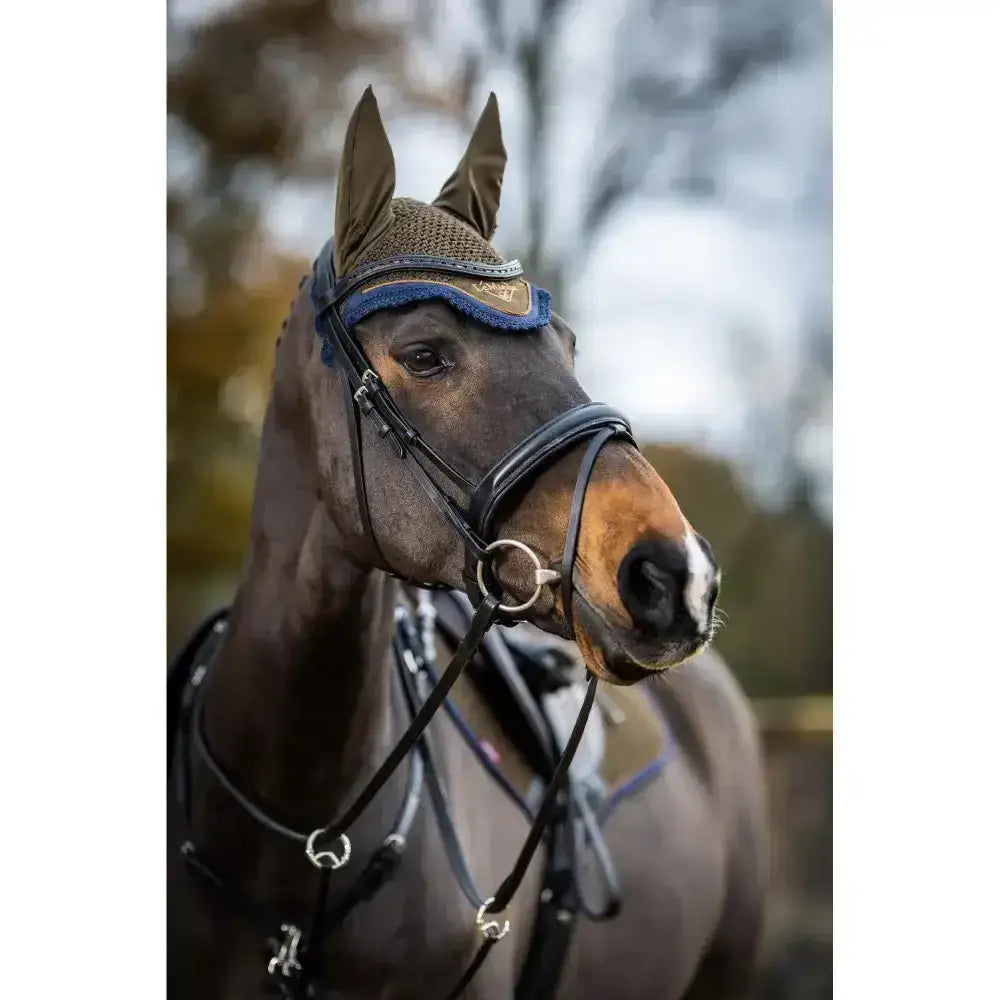 A dark brown horse wearing a lemieux classic fly hood alpine with blue trim and mesh ear flap fly hood classic fly hood