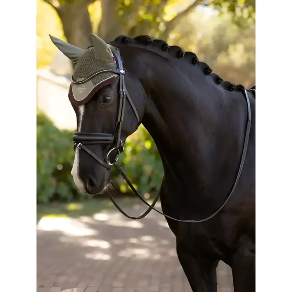 Black horse wearing a lemieux classic fly hood rosemary dark green mesh fly hood with silver trim face veil