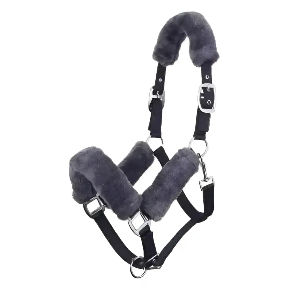 Black leather lemieux comfort headcollar with plush gray fleece padding for lasting comfort and durability