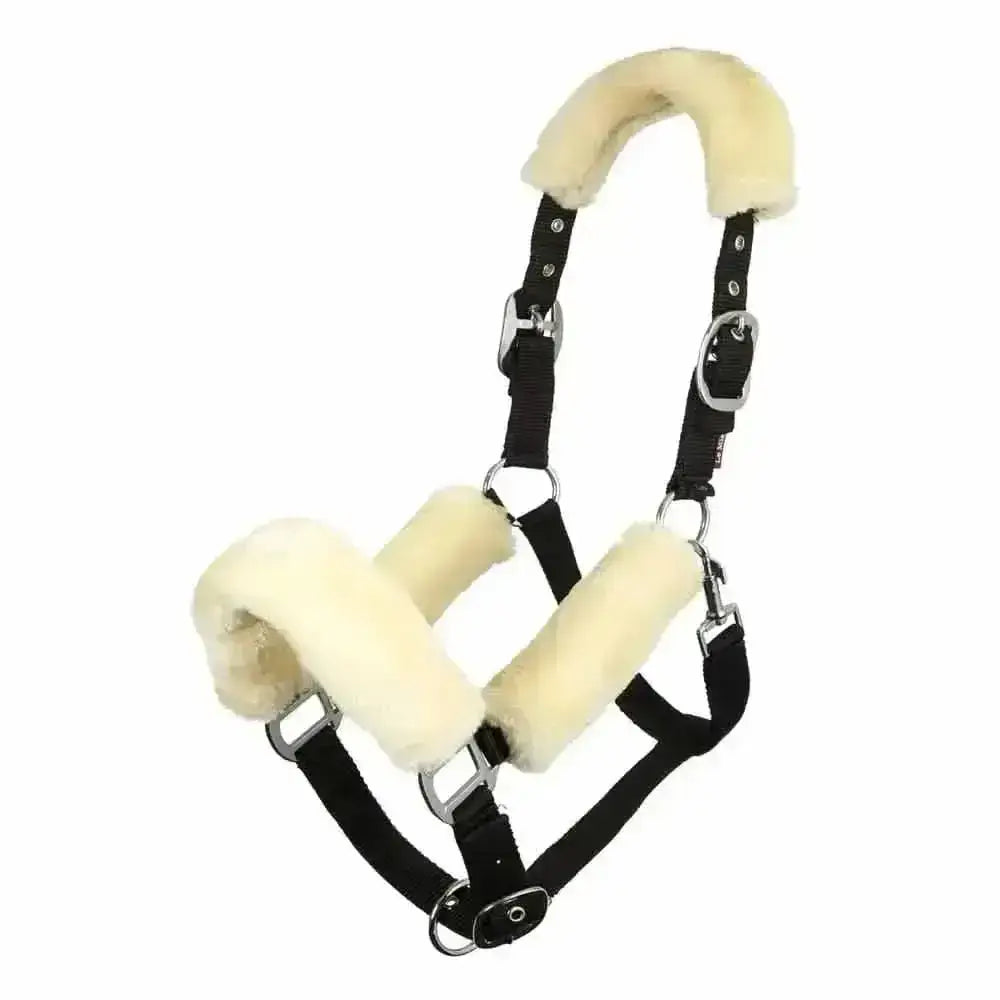Black leather lemieux comfort headcollar with cream sheepskin padding for durable lemieux headcollar comfort