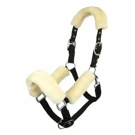Black leather lemieux comfort headcollar with cream sheepskin padding for durable lemieux headcollar comfort