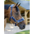 Blue velvet-lined lemieux comfort headcollar with silver buckles for a durable lemieux headcollar look