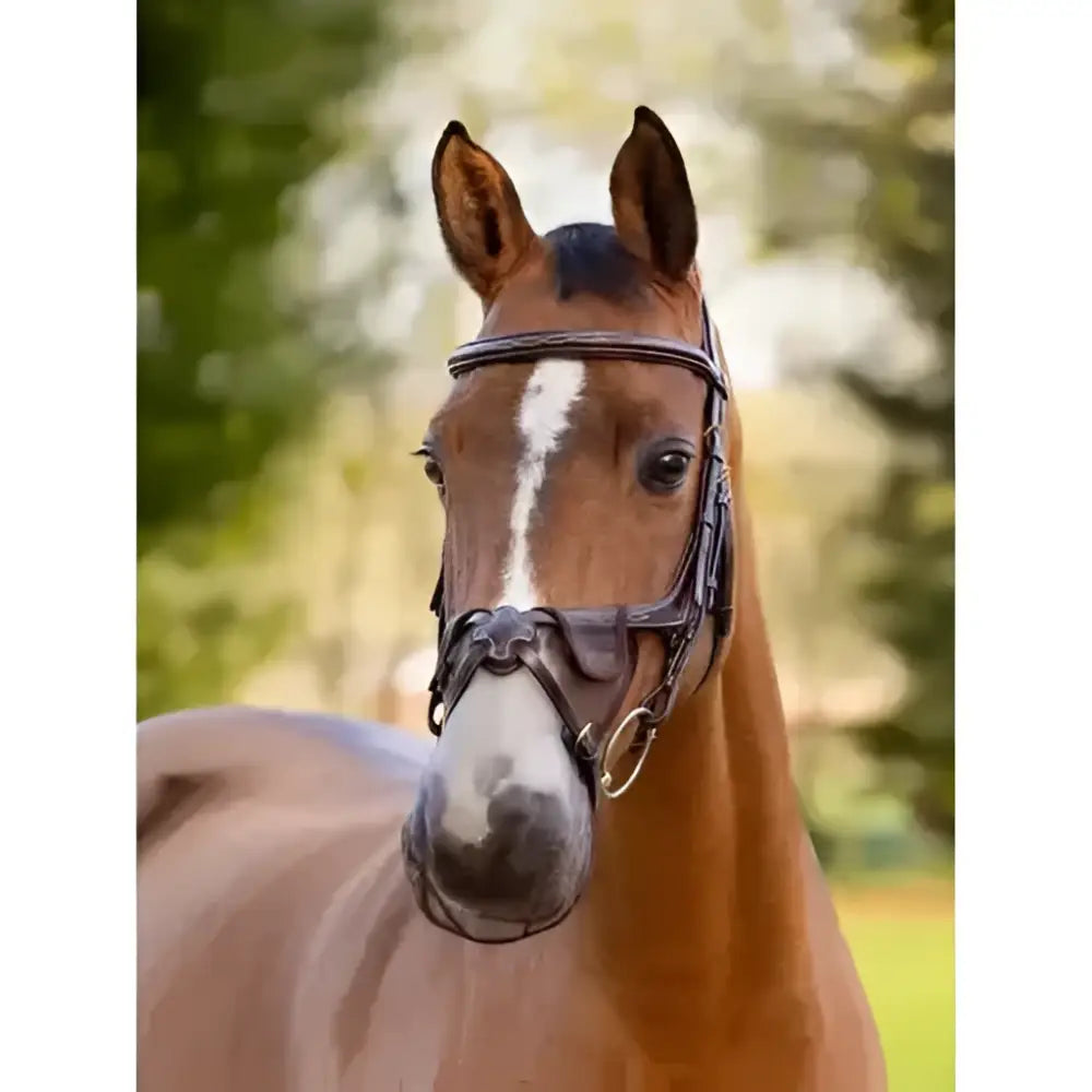 A brown horse with white blaze wearing a black leather bridle featuring lemieux comfort shield grackle nose filter 2pk