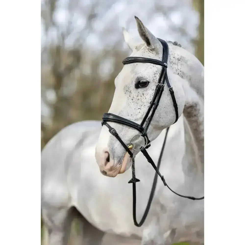 Black leather lemieux competition flash bridle with silver hardware and detachable flash loop for show jumping