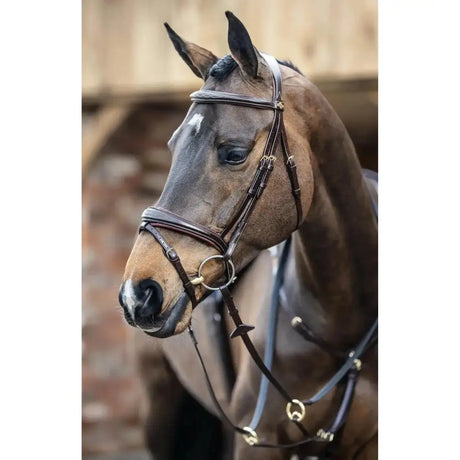 Brown leather lemieux competition flash bridle with silver hardware and detachable flash loop for show jumping
