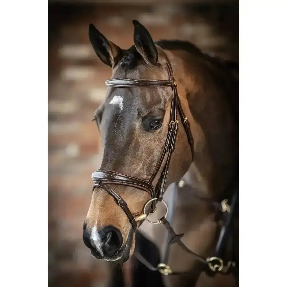 Brown horse wearing a lemieux competition flash bridle in dark brown leather with polished silver hardware and detachable flash loop
