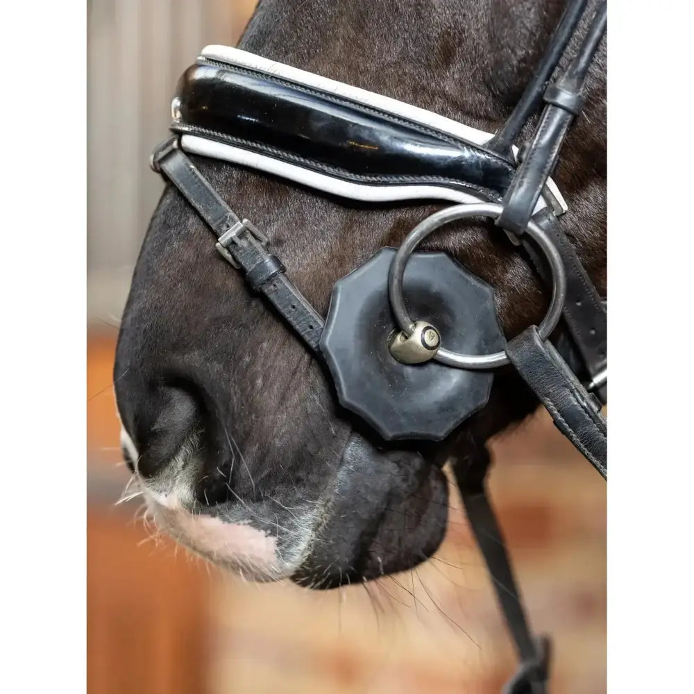 Black leather horse bridle with white trim and dark gray octagonal noseband featuring lemieux contoured rubber bit guards