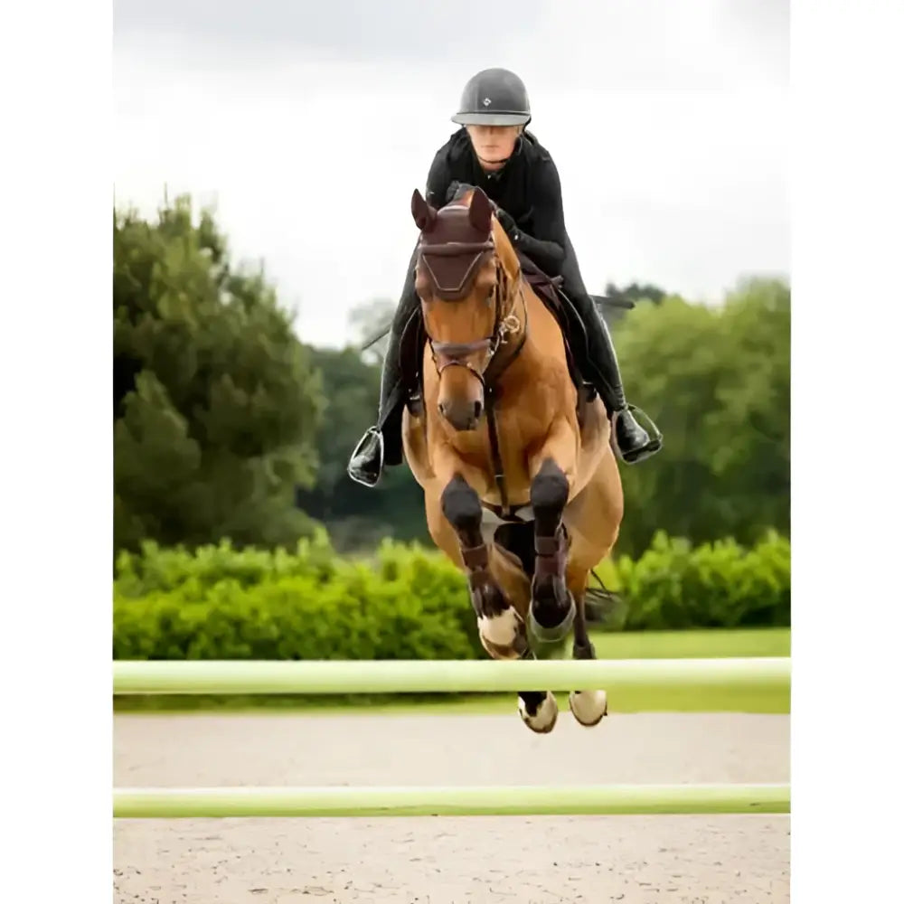A chestnut horse mid-jump wearing lemieux crystal fly hood brown with black protective boots and dark brown bridle