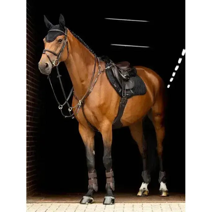 A sleek chestnut horse wearing a black lemieux crystal suede close saddle with black protective gear stands in stable
