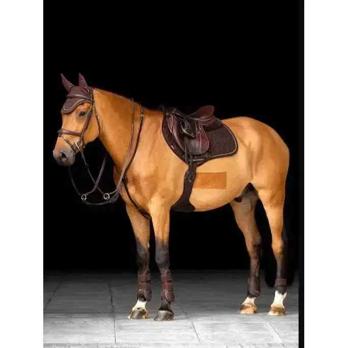 A tan horse wearing dark brown lemieux crystal suede close forward-cut jumping saddles with protective leg wraps