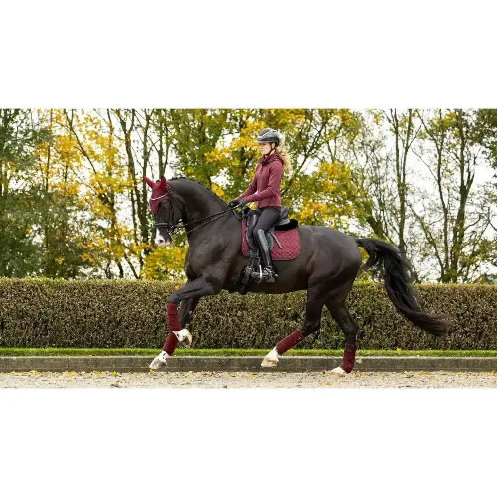 A dark brown horse wearing a burgundy lemieux crystal suede dressage pad with matching leg wraps and headgear