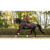 A dark brown horse wearing a burgundy lemieux crystal suede dressage pad with matching leg wraps and headgear