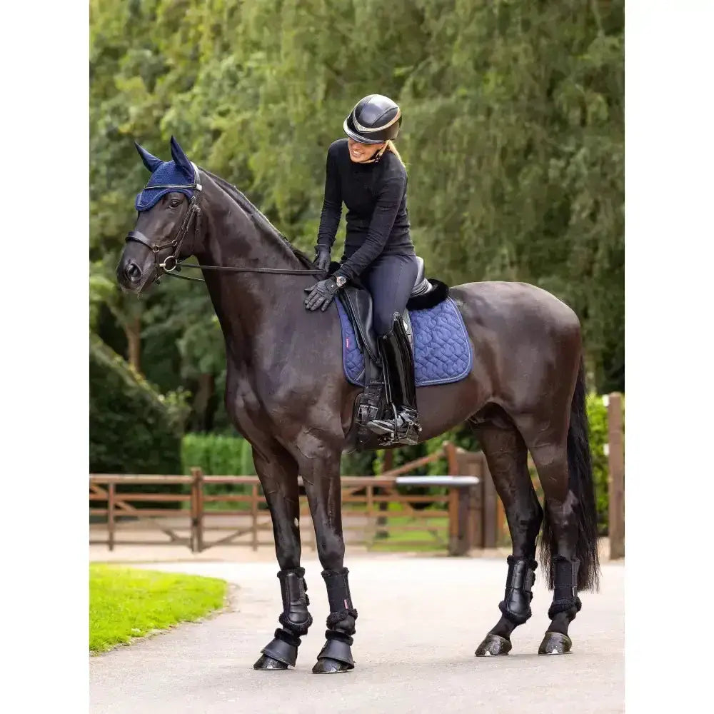 Black horse wearing lemieux crystal suede navy blue quilted dressage pad with matching ear covers