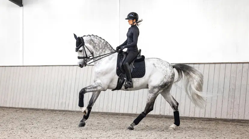 LeMieux Crystal Suede Dressage Square Black Small/Medium Black Dressage Saddle Pads
