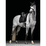 LeMieux Crystal Suede Dressage Square Black Small/Medium Black Dressage Saddle Pads